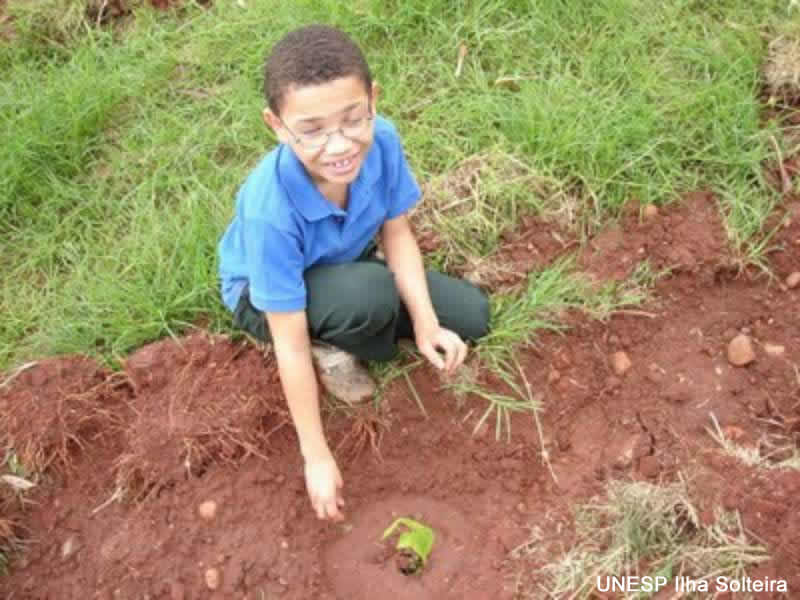 plantio_arvores_20set09 (11).jpg